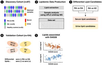 Serum and urine lipidomic profiles identify biomarkers diagnostic for seropositive and seronegative rheumatoid arthritis